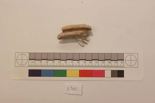 Stucco Fragment