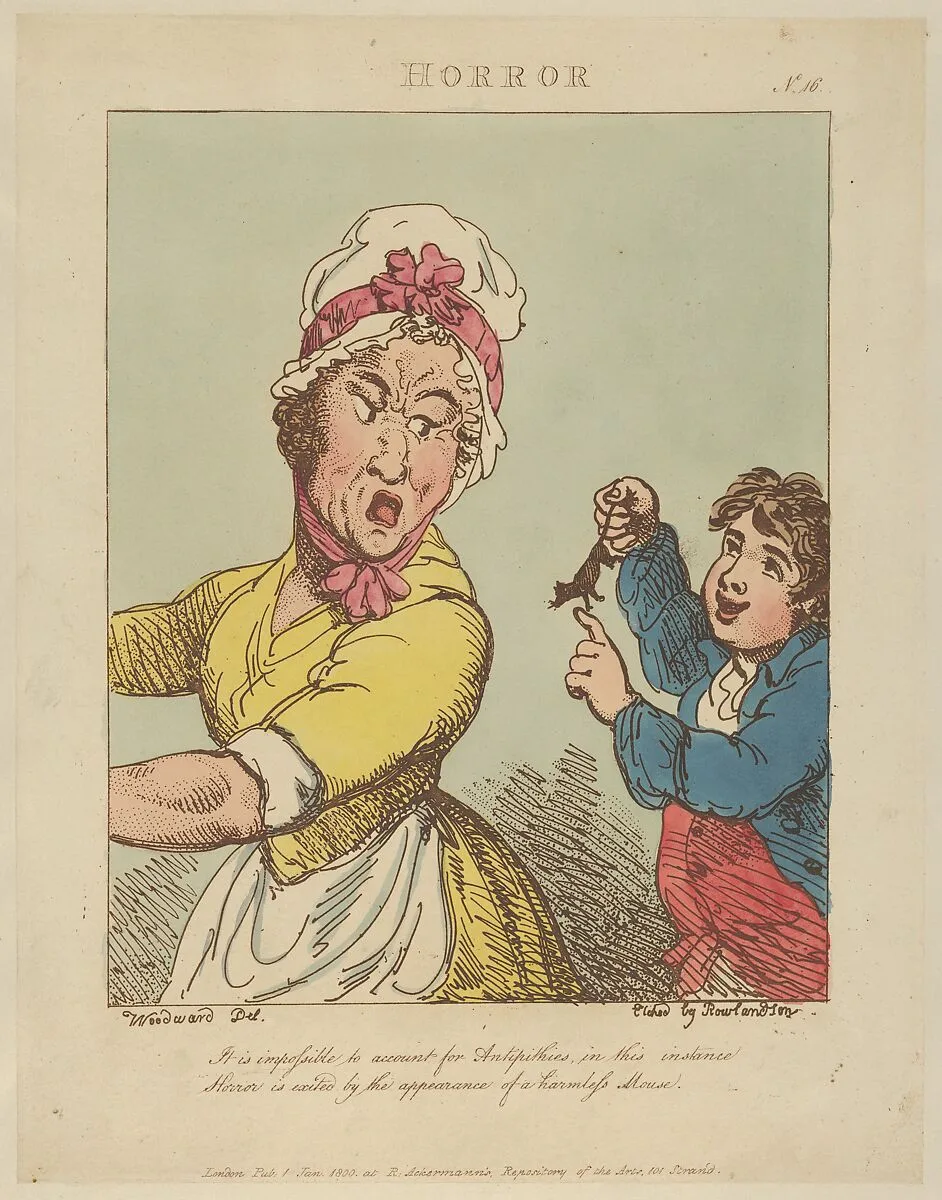 Horror — Thomas Rowlandson|George Murgatroyd Woodward|Rudolph Ackermann, London