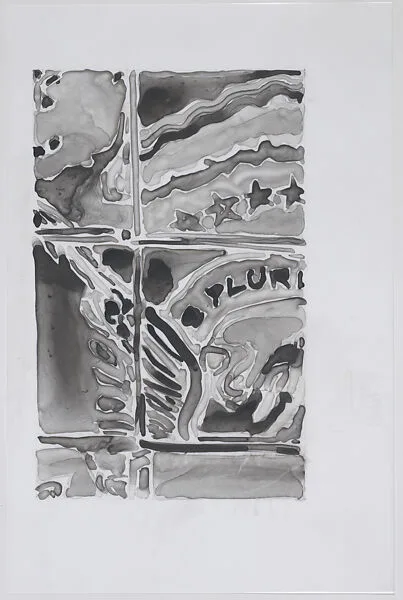 Untitled (Background), Democracy Soup — Guy Ben-Ari