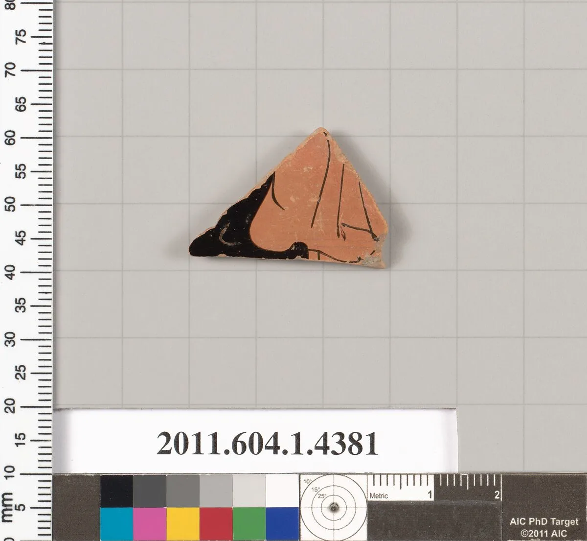Terracotta fragment of a kylix (drinking cup) — Unknown