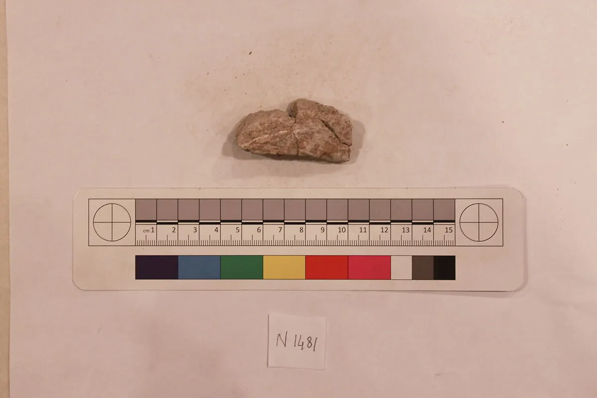 Stucco Fragment — Unknown