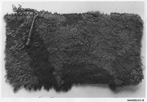 Rug fragment