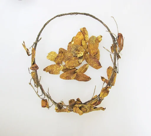 Wreath