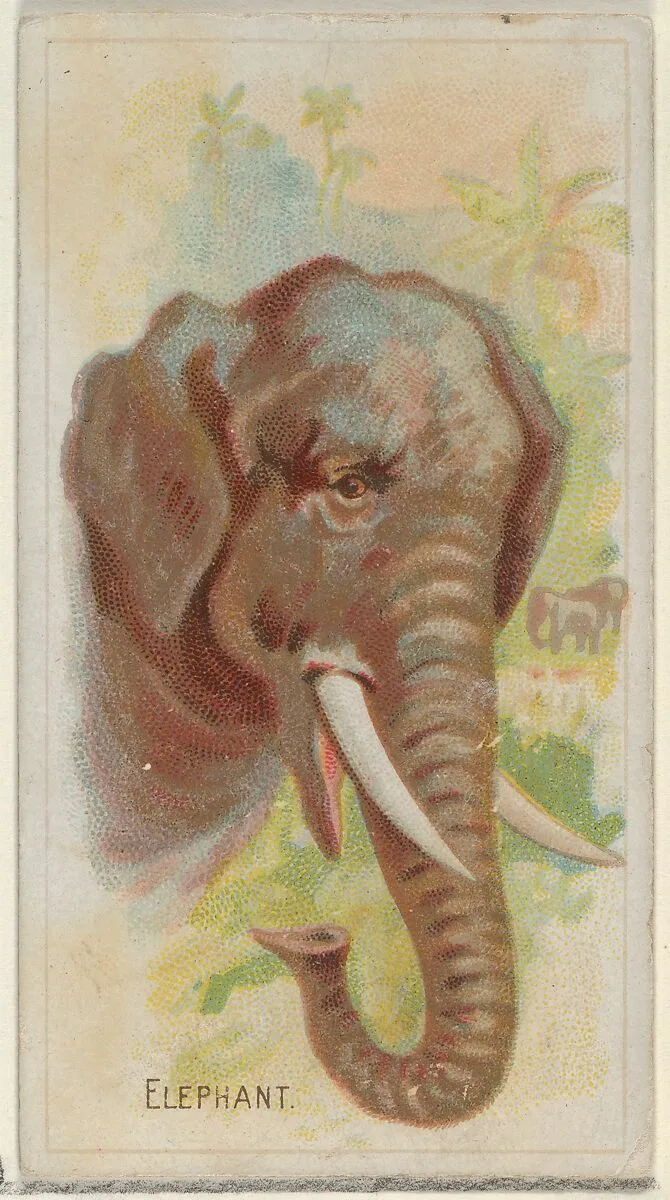 Elephant, from the Wild Animals of the World series (N25) for Allen & Ginter Cigarettes — Allen & Ginter|George S. Harris & Sons