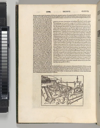 Di Lucio Vitruvio Pollione De architectura Libri Dece traducti de latino in vulgare affigurati: commentati: & con mirando ordine insigniti