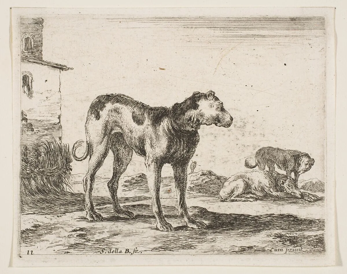 Dogs, plate 11 from "Various Animals" (Diversi Animali) — Stefano della Bella