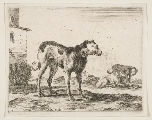 Dogs, plate 11 from "Various Animals" (Diversi Animali)