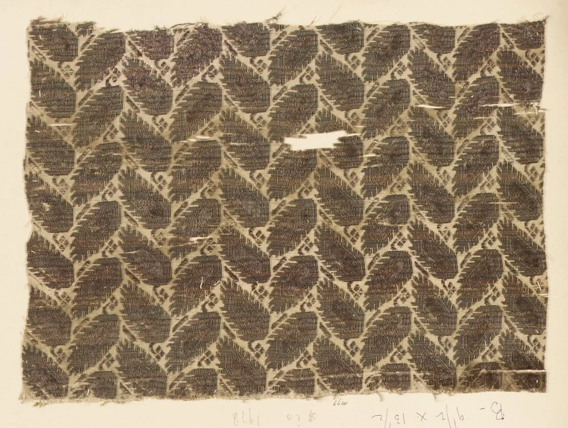 Fragment — Unknown