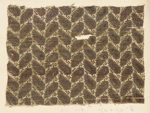 Fragment