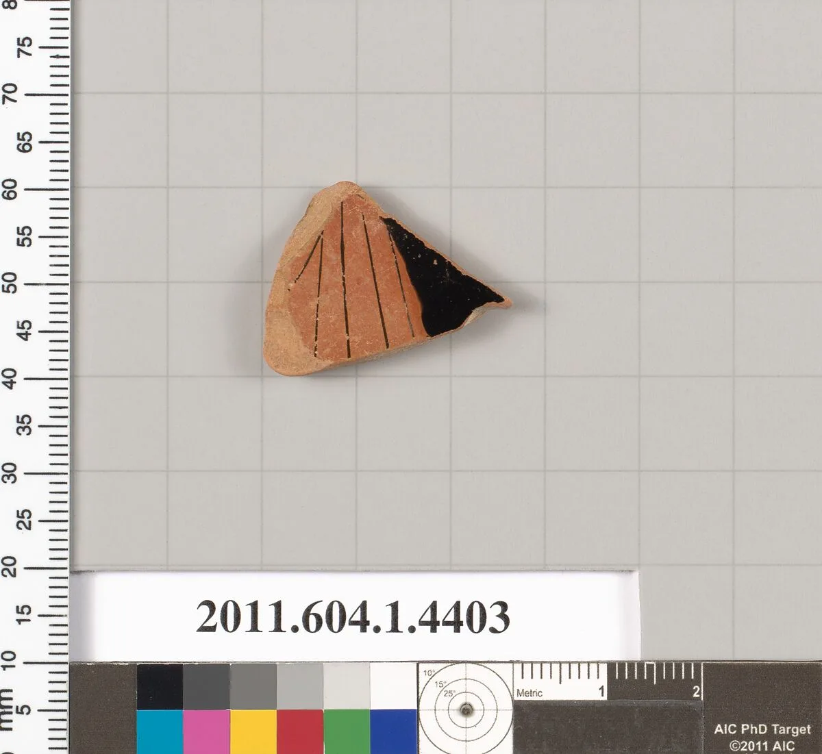 Terracotta fragment of a kylix (drinking cup) — Unknown