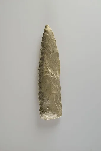 Bifacial Sickle Insert