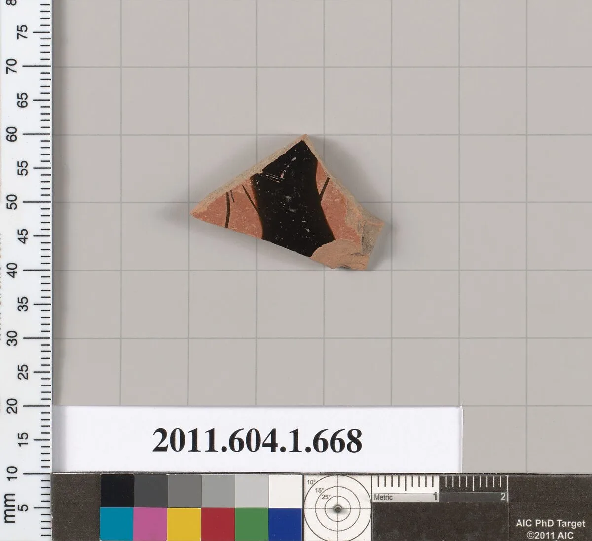 Terracotta fragment of a kylix (drinking cup) — Unknown