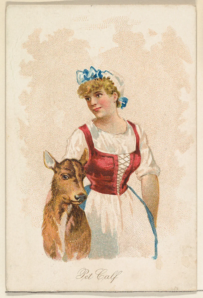 Pet Calf, from the Household Pets series (N194) issued by Wm. S. Kimball & Co. — American Tobacco Company|William S. Kimball & Company|Julius Bien & Co.