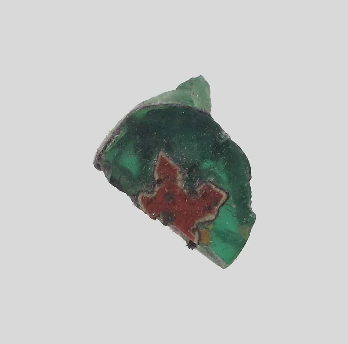 Fragment of a Flower — Unknown