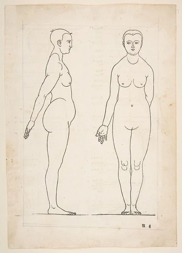 IIllustration from Dürers Vier Bucher von Menslicher Proportion, Nuremberg, 1528