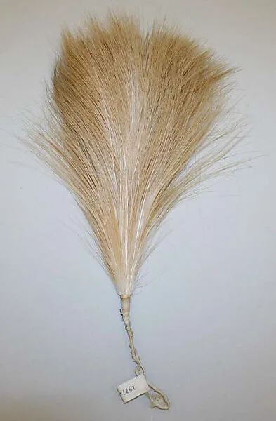Aigrette — Unknown