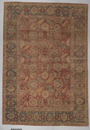 Carpet