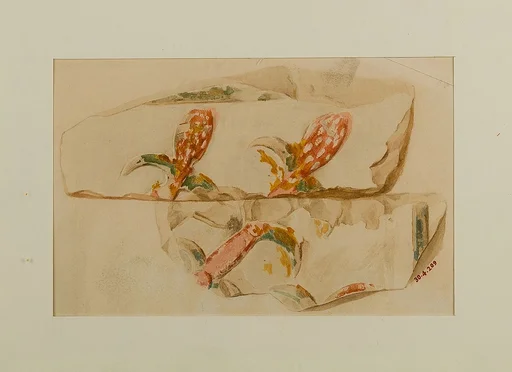 Water Plants
