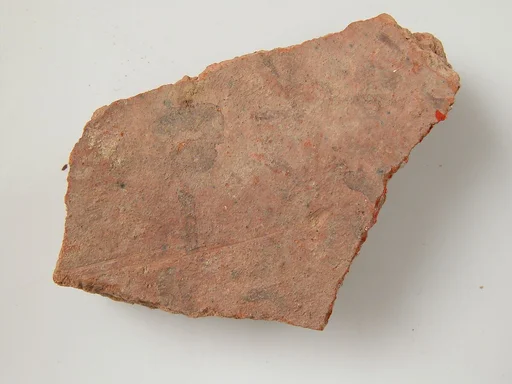 Ostracon
