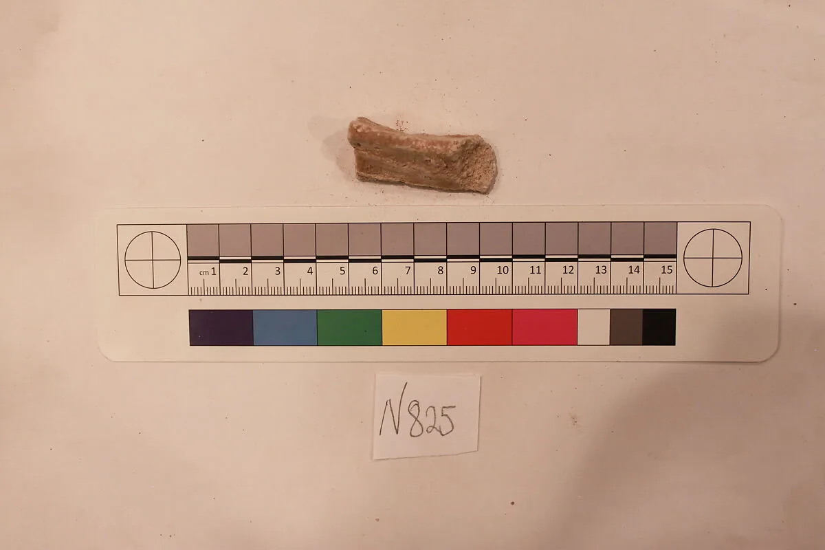 Stucco Fragment — Unknown