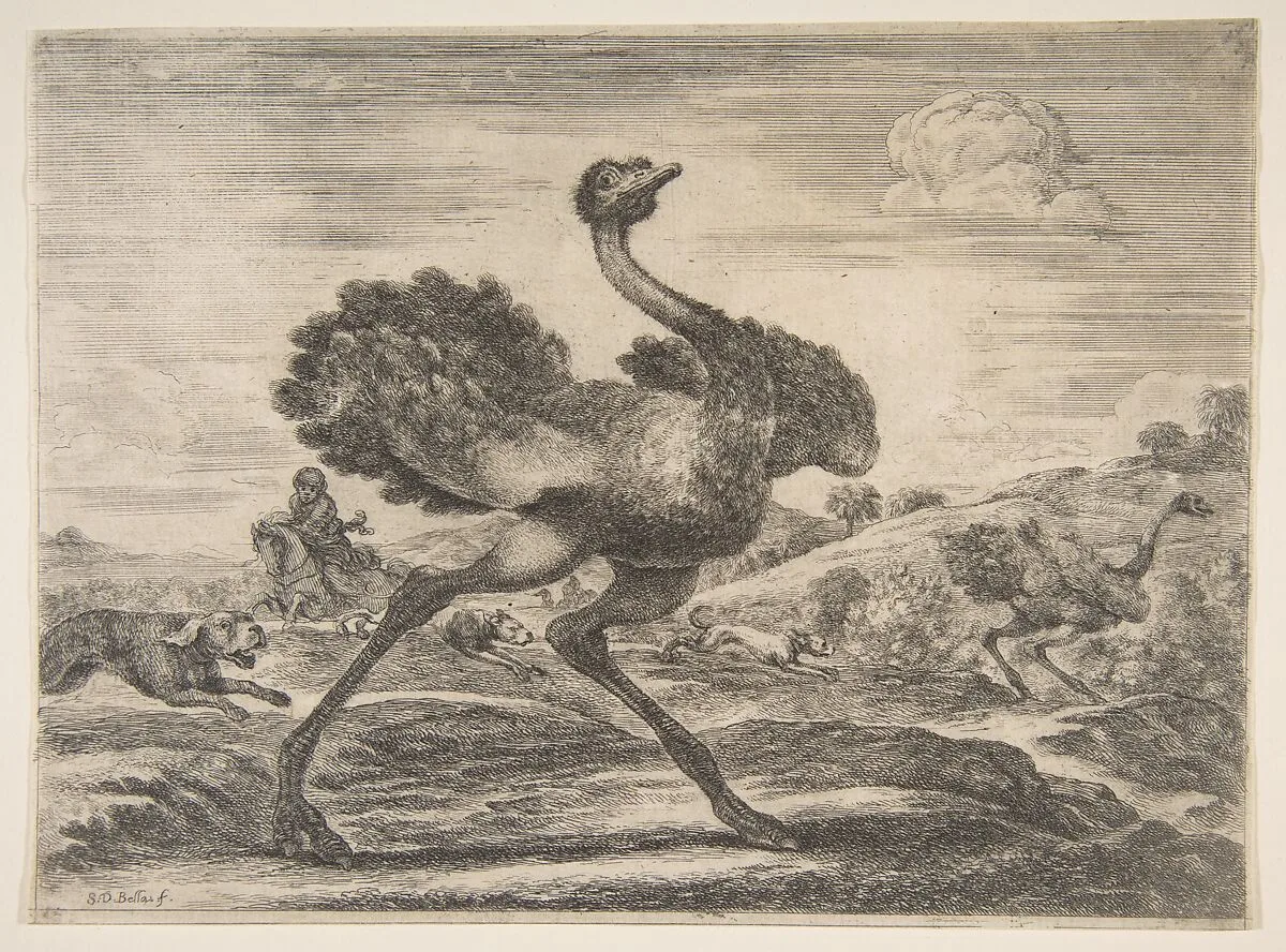 Ostrich hunt, from 'Animal hunts' (Chasses à différents animaux) — Stefano della Bella