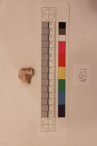 Stucco Fragment