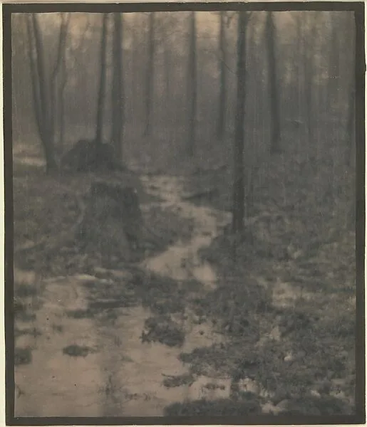Woods Interior — Edward J. Steichen