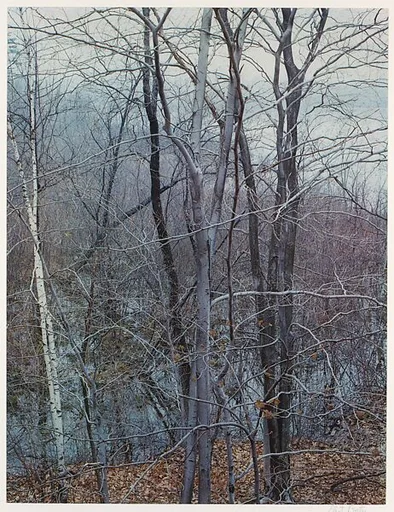 Trees and Pond, Near Sherborn, Massachusetts