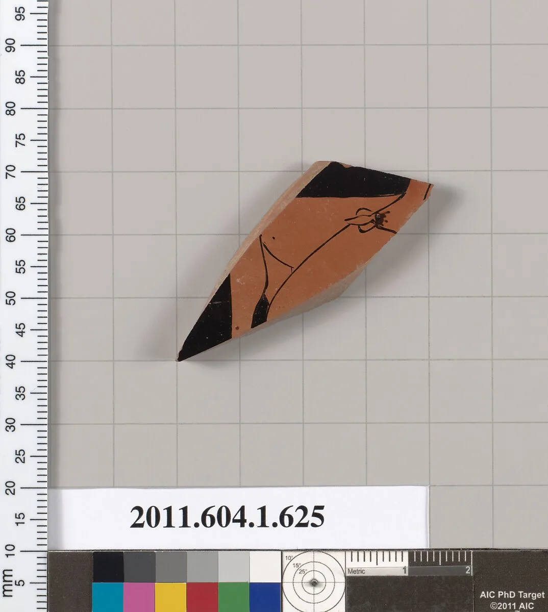 Terracotta fragment of a kylix (drinking cup) — Unknown