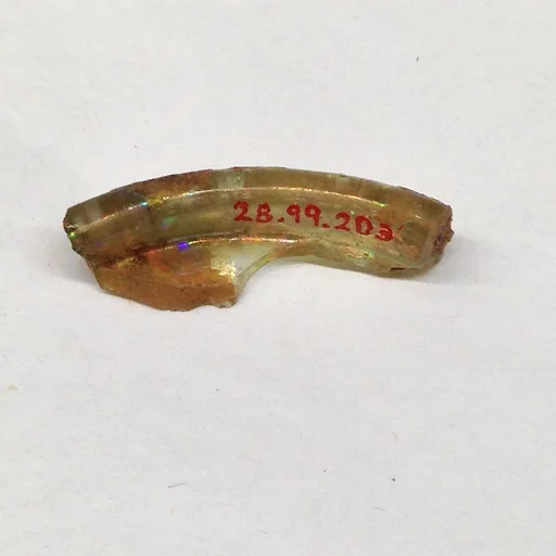 Fragment