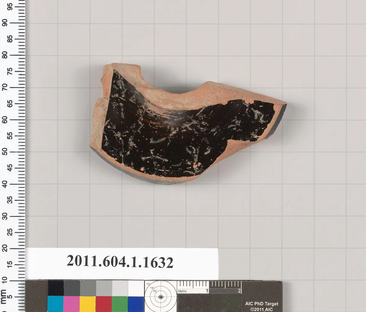 Terracotta fragment of a kylix (drinking cup) — Unknown