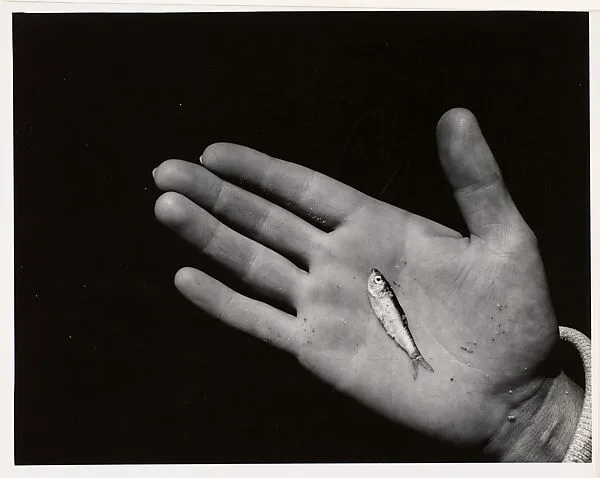 Hand B — Aaron Siskind
