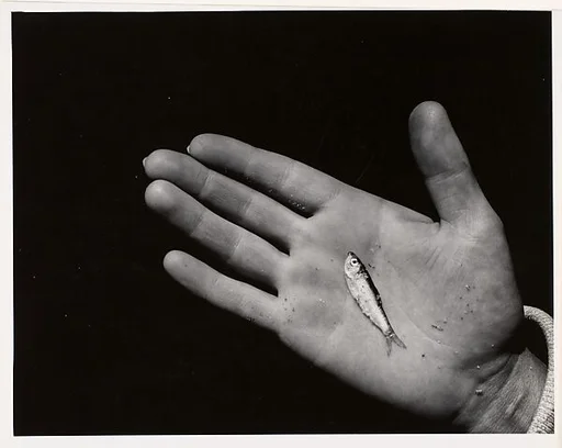 Hand B