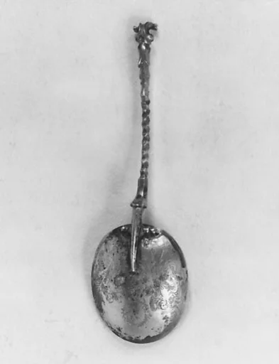 Spoon