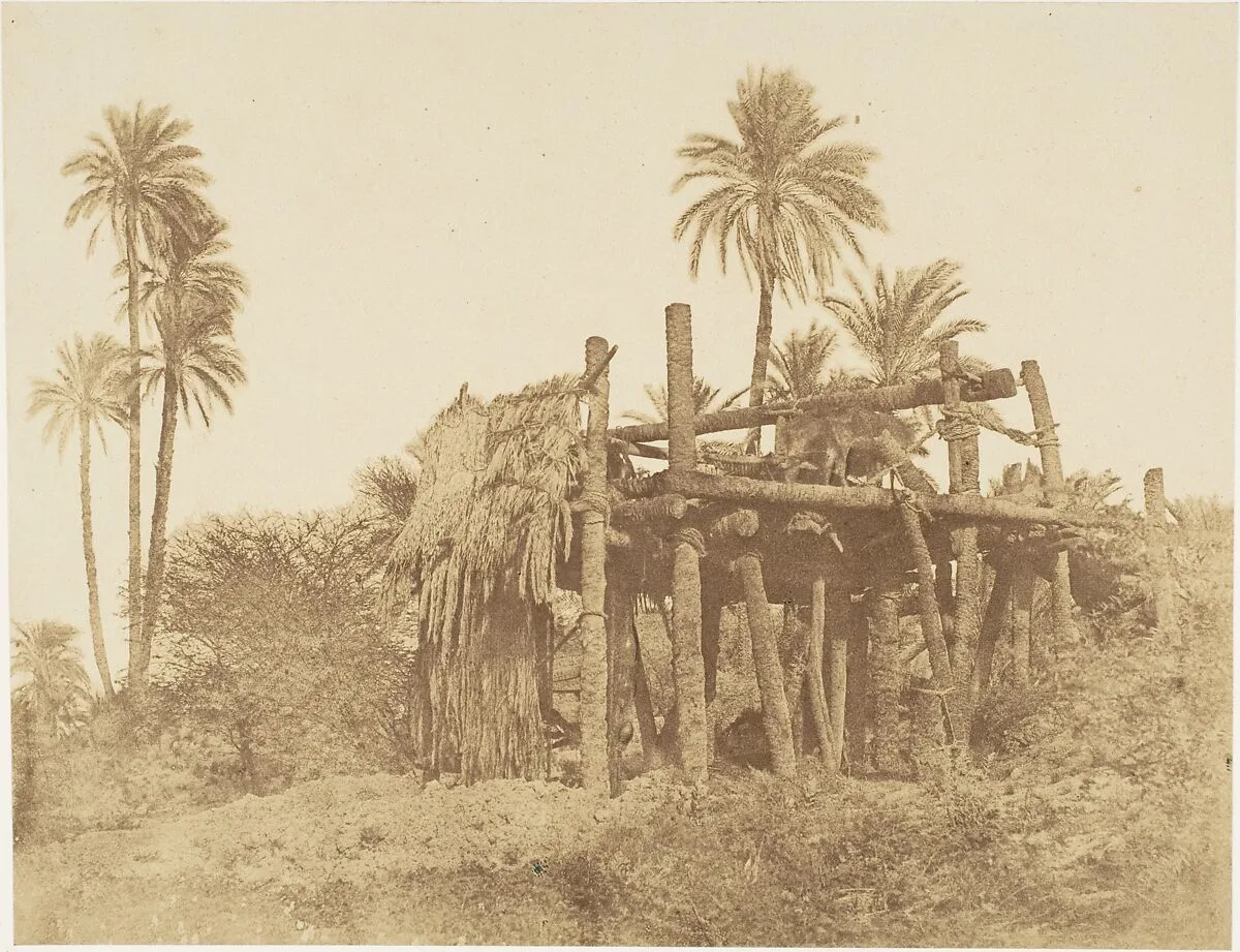 Nubian Sakkieh, or Water Wheel — J. Hogarth|Robert Murray