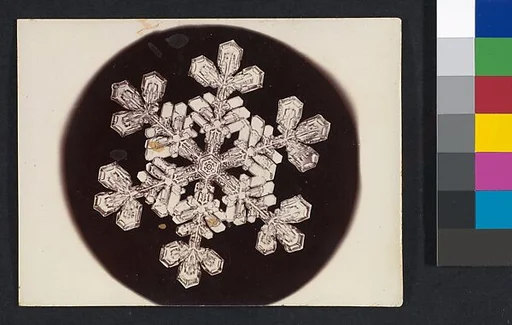 [Snow Crystal]