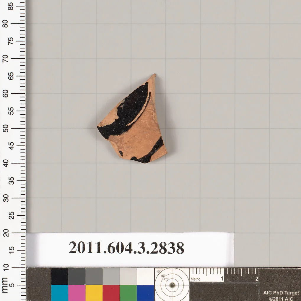 Terracotta fragment of a closed shape — Unknown
