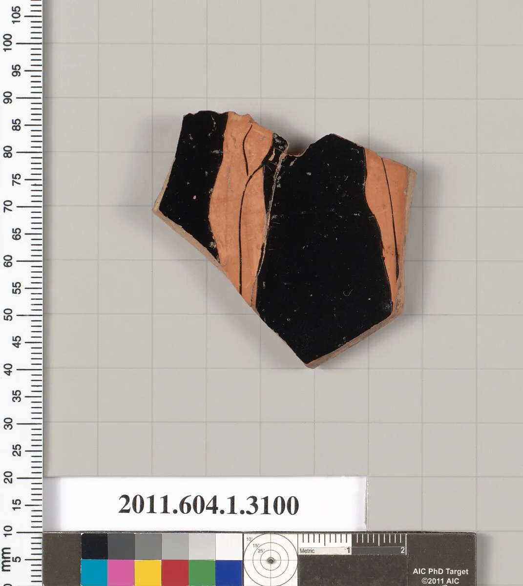 Terracotta fragment of a kylix (drinking cup) — Unknown