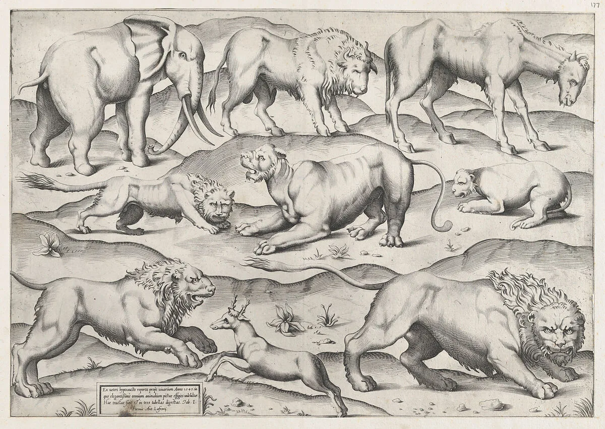 Speculum Romanae Magnificentiae: Wild Animals, from antique wall paintings, plate 1 — Antonio Lafreri|Anonymous|Antonio Lafreri