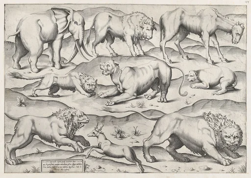 Speculum Romanae Magnificentiae: Wild Animals, from antique wall paintings, plate 1