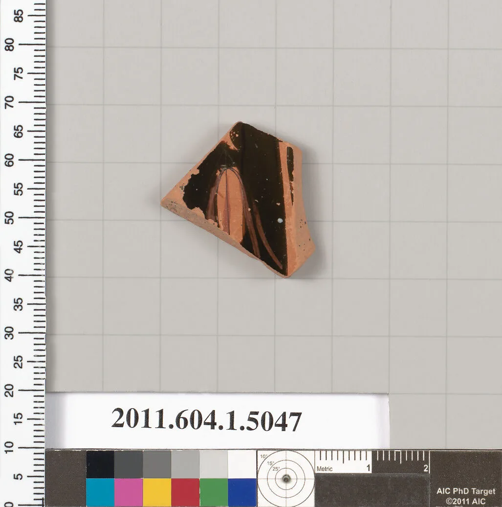 Terracotta fragment of a kylix (drinking cup) — Unknown