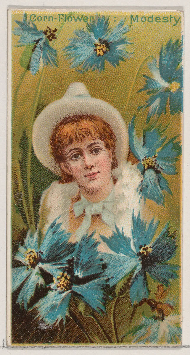 Cornflower: Modesty, from the series Floral Beauties and Language of Flowers (N75) for Duke brand cigarettes — Donaldson Brothers|American Tobacco Company