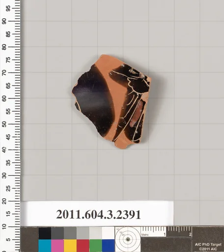 Terracotta fragment of a kylix: eye-cup (drinking cup)