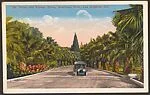 Palm and Flower Drive, Westlake Park, Los Angeles, Cal. — Unknown