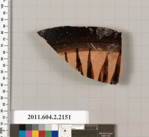 Terracotta fragments of an amphora (jar)