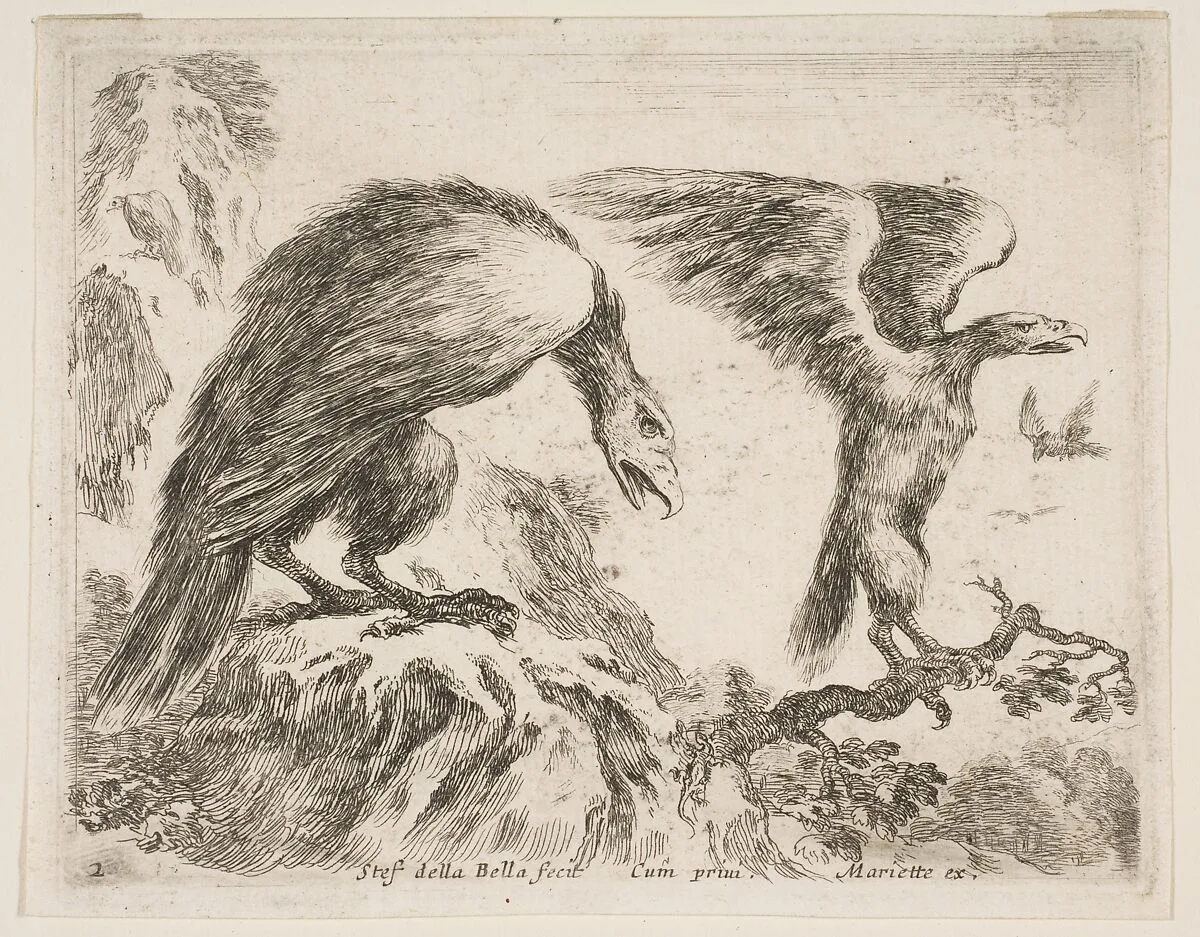 Eagle and eaglet, plate 2 from "Various Animals" (Diversi Animali) — Stefano della Bella|Pierre Mariette