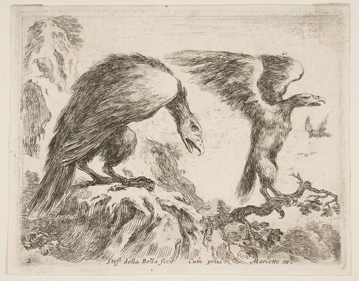 Eagle and eaglet, plate 2 from "Various Animals" (Diversi Animali)