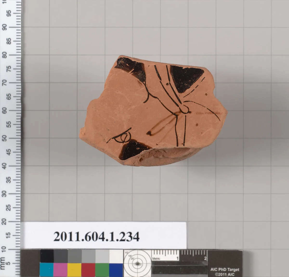 Terracotta fragment of a kylix (drinking cup) — Angular Painter