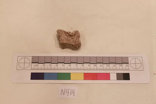 Stucco Fragment