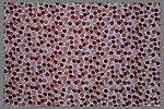 "Americana Print: April" Textile